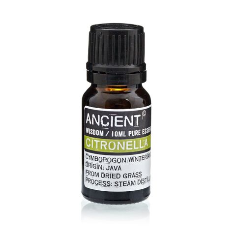 10 ml Citronella Essential Oil by Ancient, steam distilled from Java's dried grass for natural freshness.
