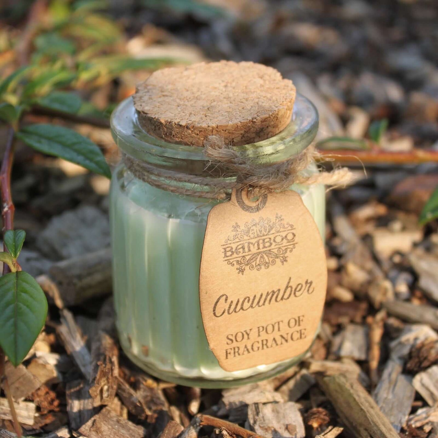2x Cucumber Soy Pot of Fragrance Candles with natural aroma, perfect for a clean and long-lasting burn.