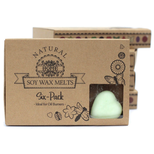 Box of 6 Wax Melts - Watermelon Fresh Scented Delight, crafted from high-quality soy for a vibrant home fragrance.