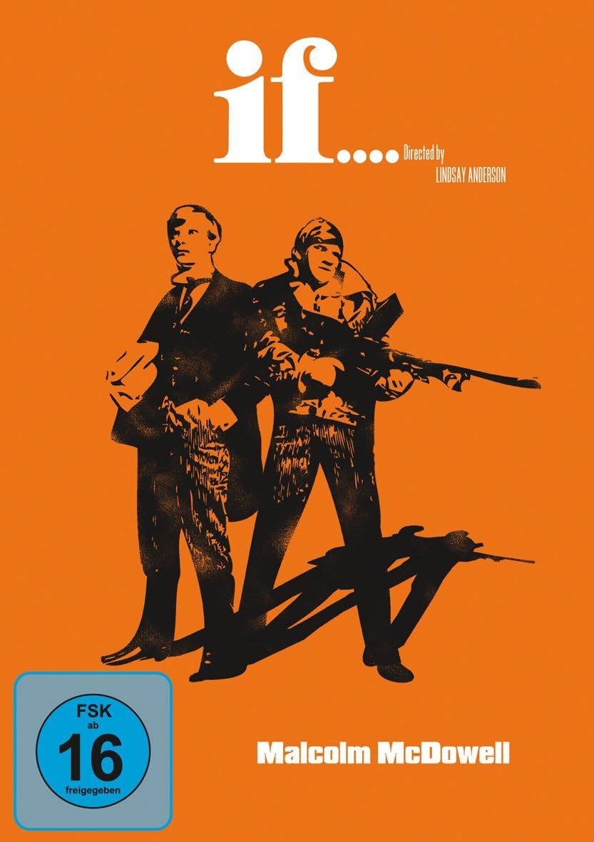 If.... (DVD, 2007) features striking artwork, showcasing a gripping film that challenges societal norms.