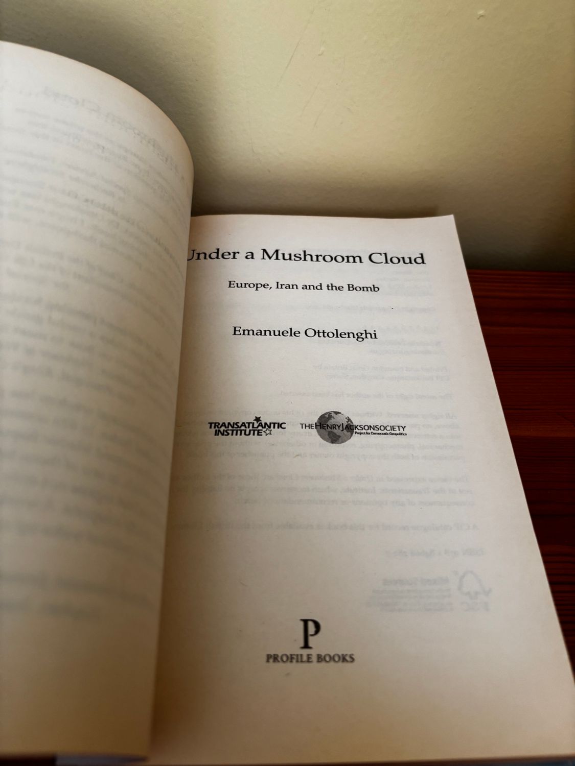 "Cover page of Under a Mushroom Cloud: Europe, Iran and the Bomb by Emanuele Ottolenghi showcasing international relations."