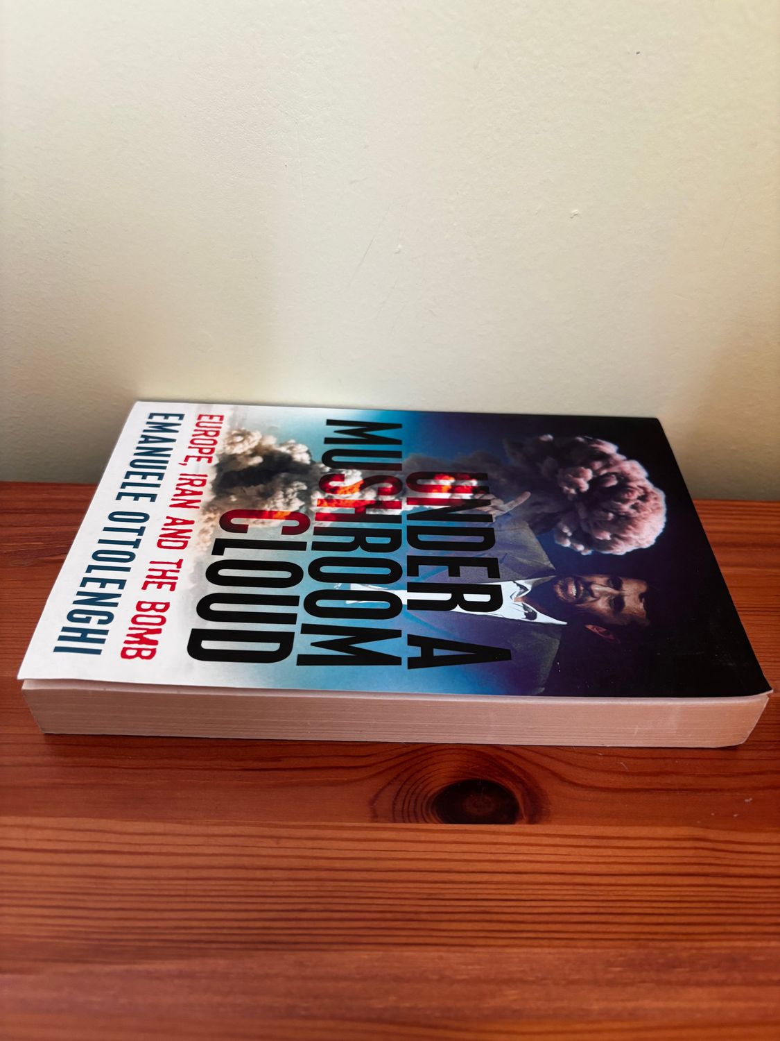 Under a Mushroom Cloud: Europe, Iran and the Bomb explores nuclear relations in an insightful paperback by Emanuele Ottolenghi.