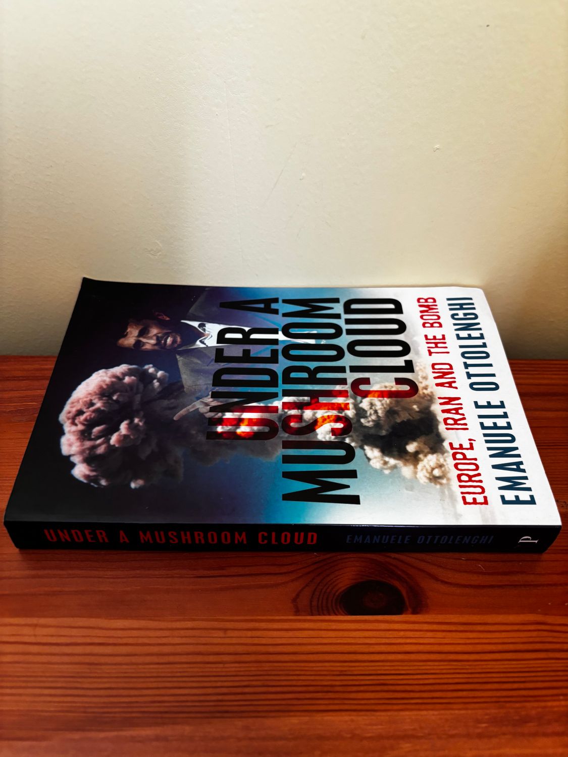 Explore "Under a Mushroom Cloud: Europe, Iran and the Bomb" by Emanuele Ottolenghi, a deep dive into nuclear dynamics.