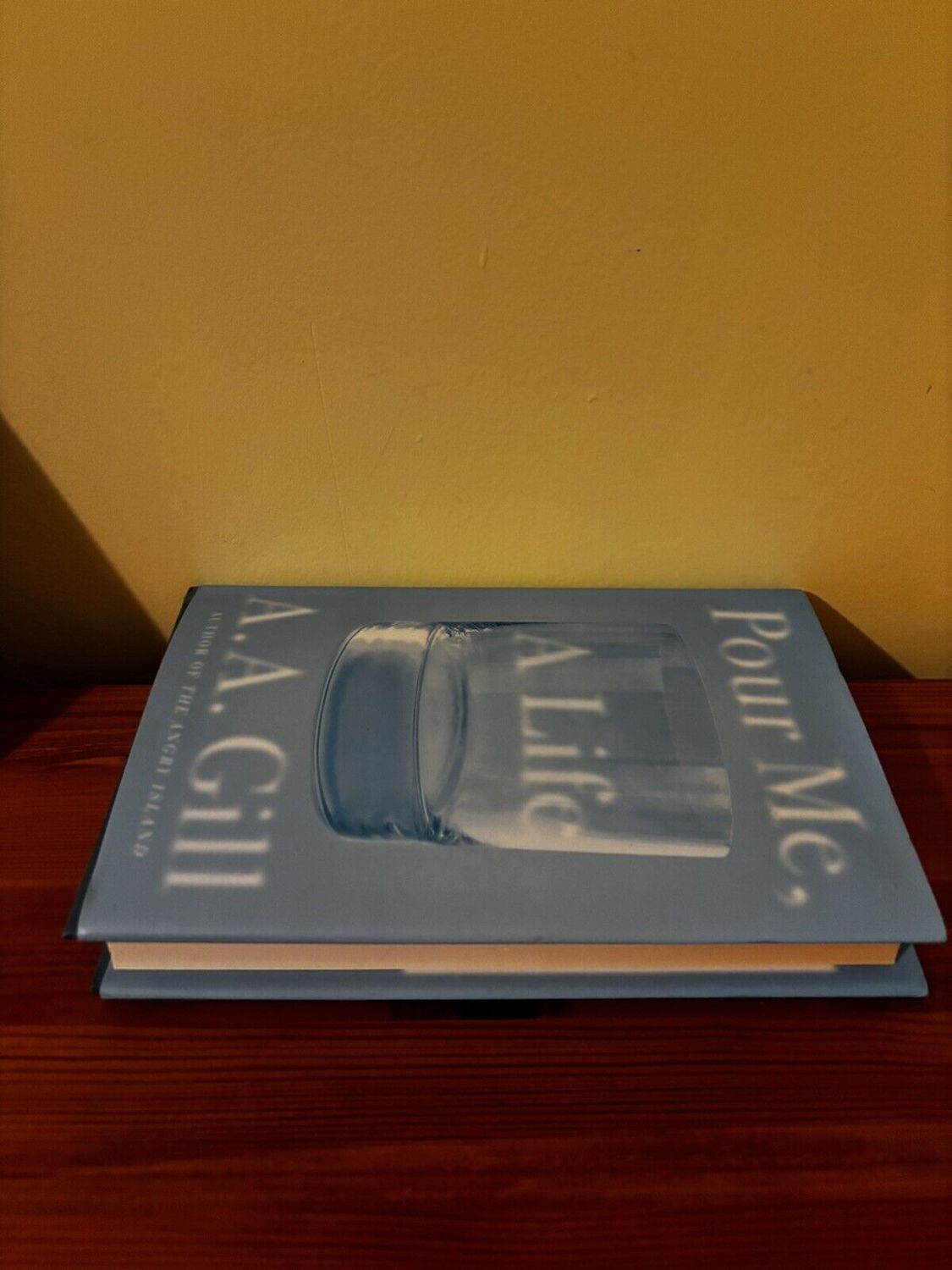 Pour Me, a Life by Gill, A.A reveals a gripping memoir on addiction and recovery, perfect for insightful reading.