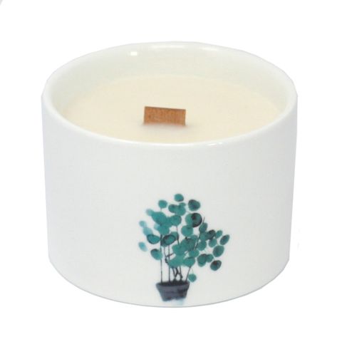 Med Botanical Candles - Mullberry Harvest shows a chic candle with a plant design, exuding mulberry sweetness.