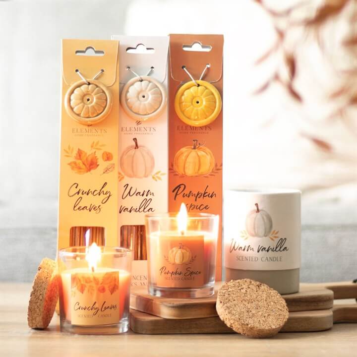 Cozy up with the Pumpkin Spice Autumn Candle, beautifully packaged and perfect for chilly autumn days.