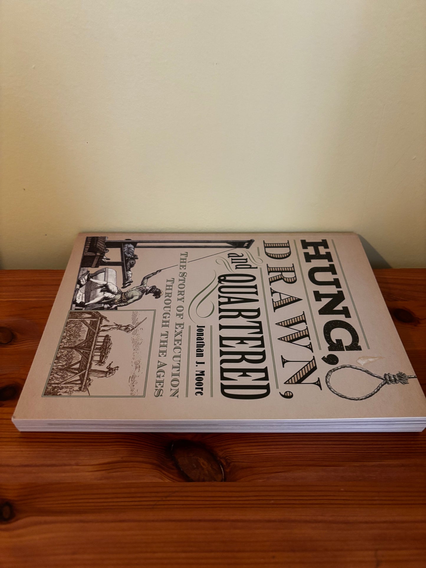 "Hung Drawn And Quartered The Story Of Execution Jonathan Moore explores brutal historical executions in vivid detail."