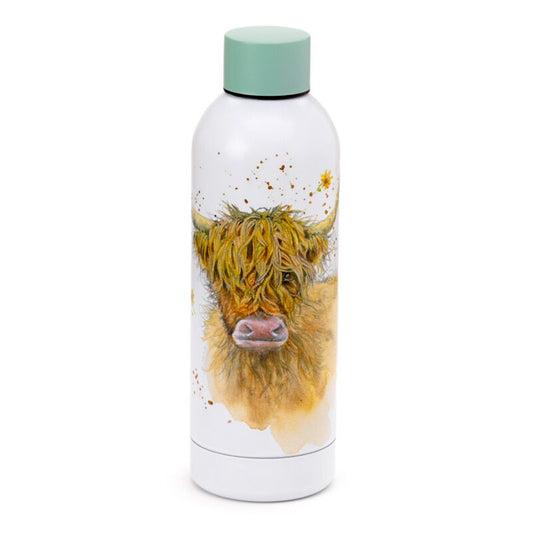 Reusable insulated 530ml drinks bottle featuring Jan Pashley Highland Coo cow artwork and mint cap.