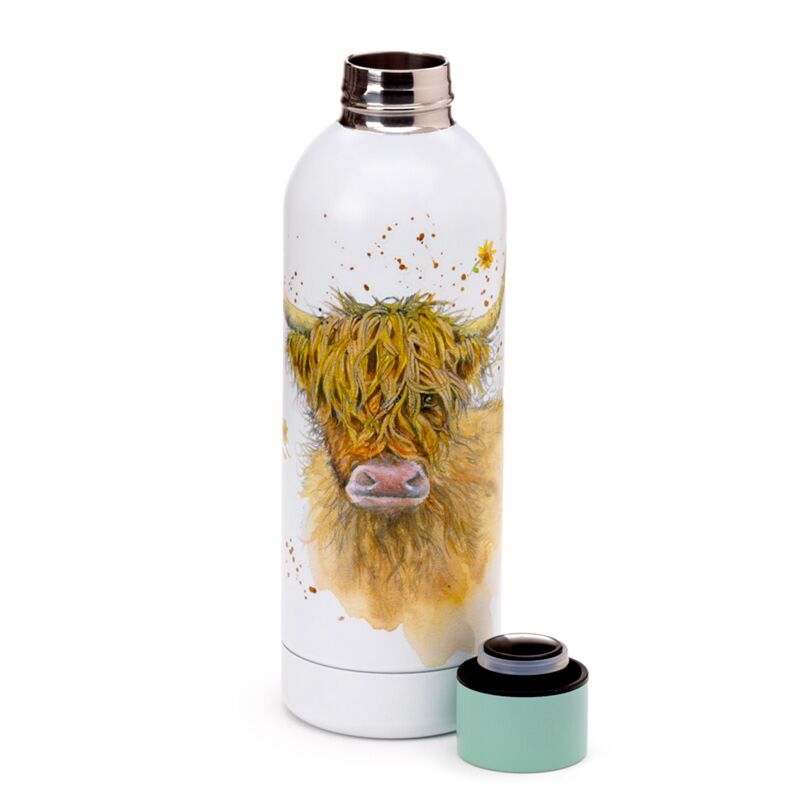 Reusable insulated drinks bottle 530ml featuring Jan Pashley Highland Coo Cow artwork and mint cap