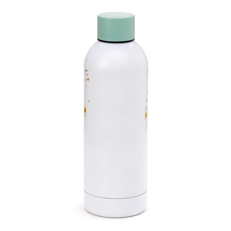 Reusable insulated drinks bottle 530ml featuring Jan Pashley Highland Coo cow design, white body and mint cap.