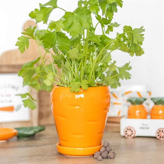Bright orange Carrot Shaped Plant Pot with Parsley Seed Balls, perfect for budding gardeners and fresh herbs at home.