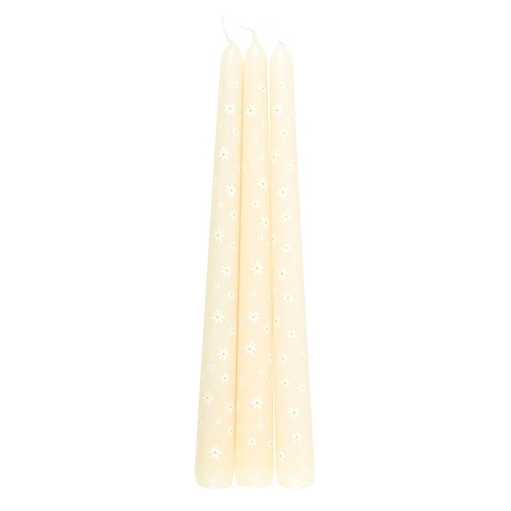 Set of 3 Carrot Patch Daisy Taper Candles unscented, perfect for adding spring vibes to your home decor.