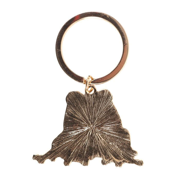 🐸 Lucky Frog Keyring
