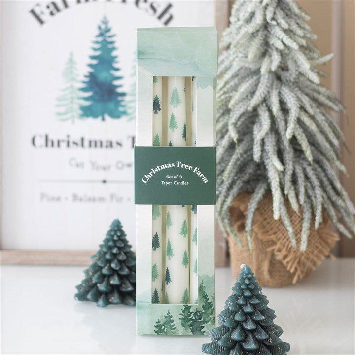 Set of 3 White Fir Tree Taper Candles - Unscented adds festive elegance to holiday tablescapes and seasonal displays.