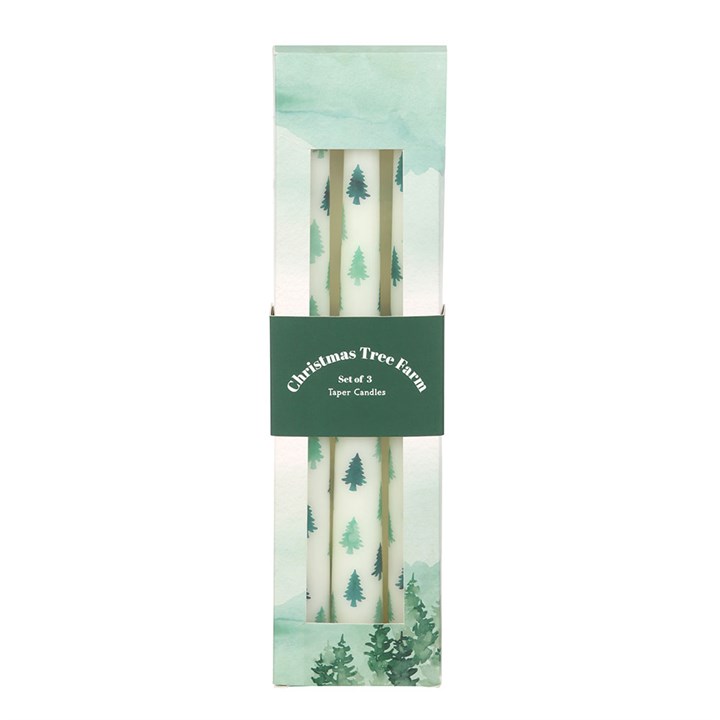 Elegant Set of 3 White Fir Tree Taper Candles - Unscented, perfect for festive tablescapes and holiday displays.