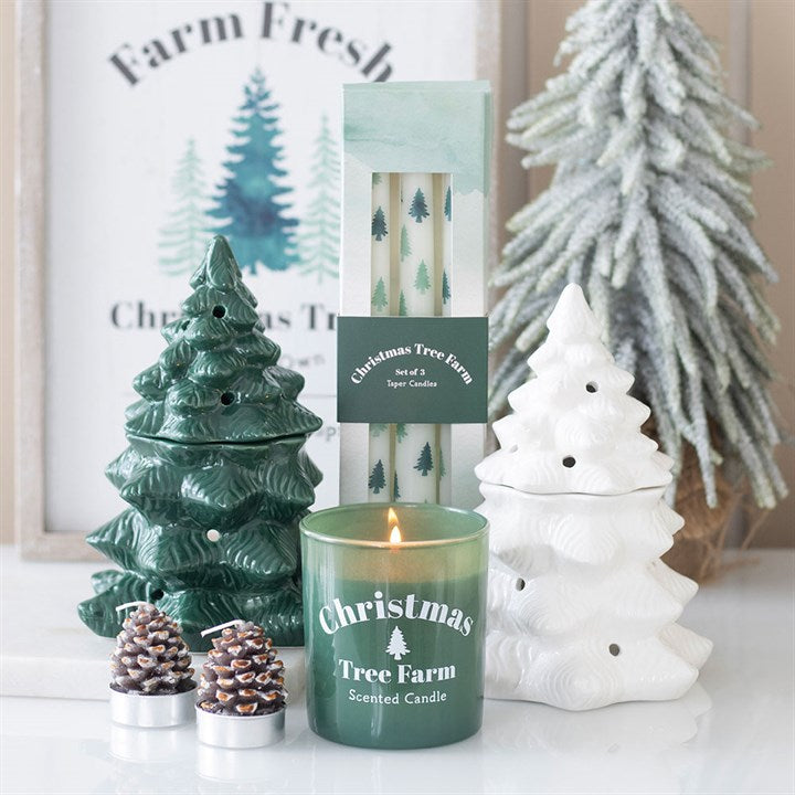 Set of 3 White Fir Tree Taper Candles - Unscented, perfect for festive tablescapes and holiday displays.