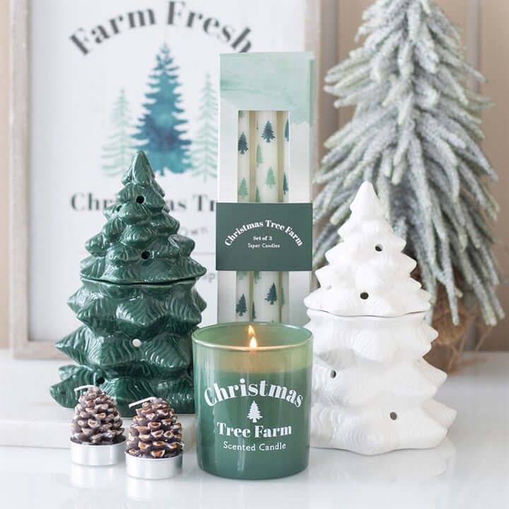 Set of 3 White Fir Tree Taper Candles - Unscented, perfect for festive tablescapes and holiday displays.