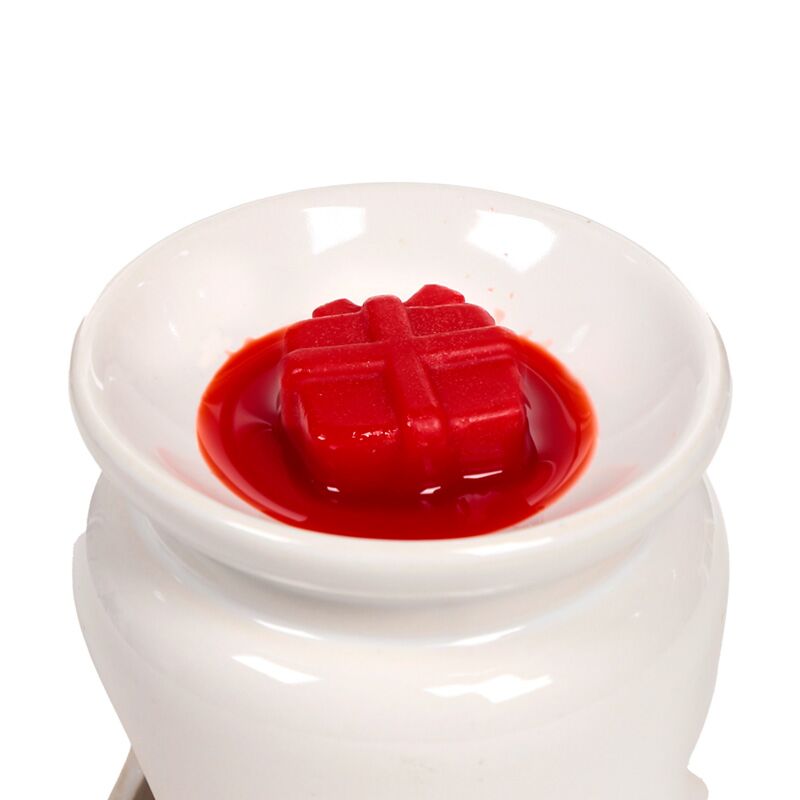 Winter Botanicals Wax Melt Set Winter Spice - Festive Scent