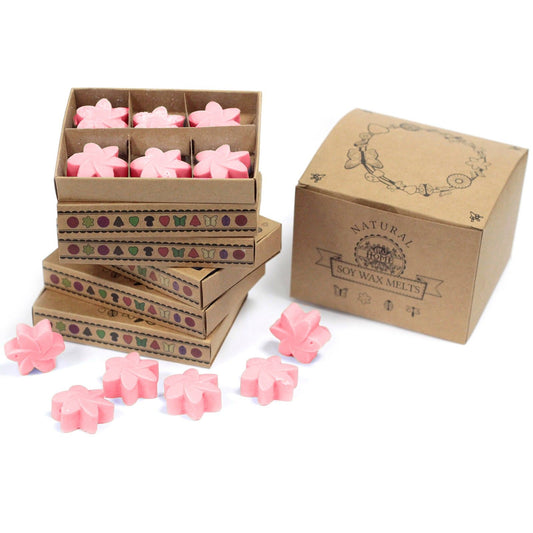 Box of six pink flower-shaped wax melts in matchbox-style packaging, Japanese Magnolia scent.