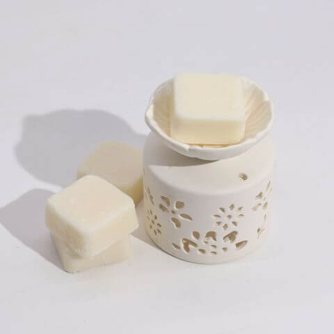 Agnes & Cat Fragrance Gift Set features an elegant oil burner with wax melts, perfect for a soothing ambiance.