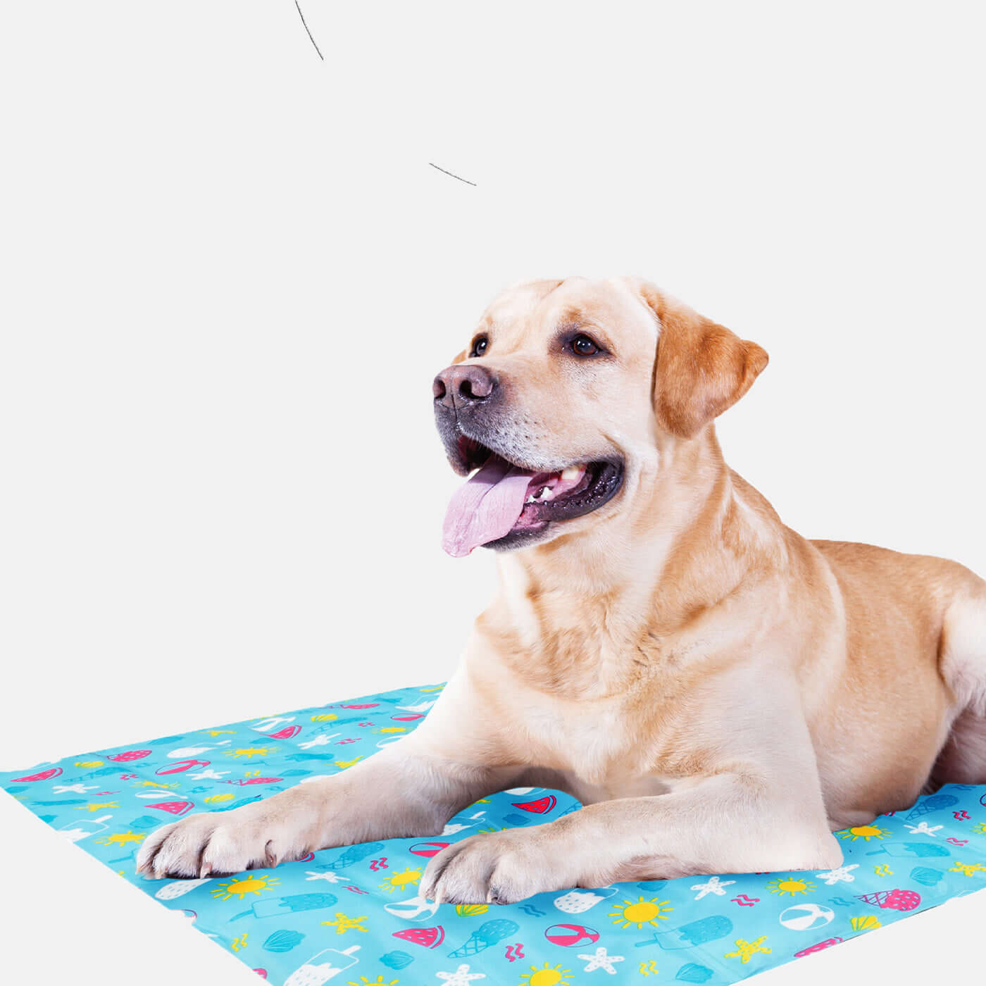 Large Pet cooling mat - 70x110cm provides a refreshing oasis for your furry friend to beat the summer heat.