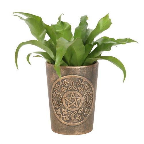 Triple Moon Bronze Terracotta Plant Pot by Lisa Parker showcases intricate moon artwork, perfect for your garden.