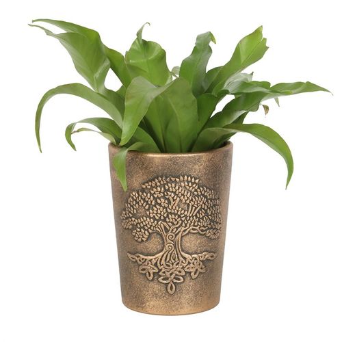Tree of Life Bronze Terracotta Plant Pot by Lisa Parker showcasing intricate Tree of Life design, ideal for any plant lover.