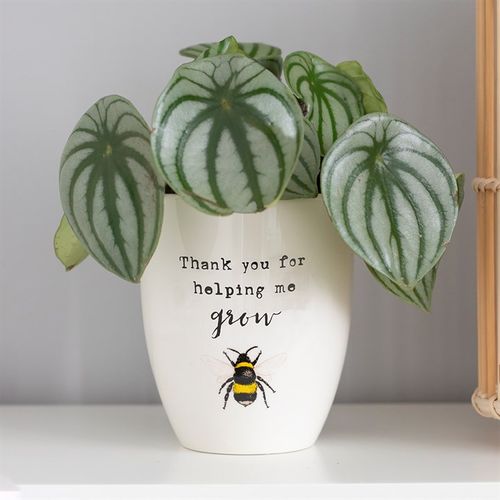 Thank You For Helping Me Grow Ceramic Plant Pot with bee illustration, perfect for gifts and brightening spaces.