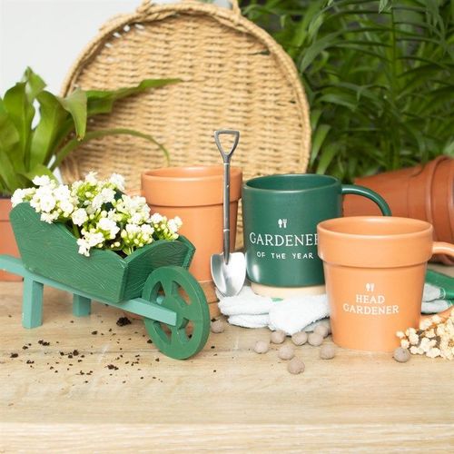 Whimsical Green Resin Wheelbarrow Planter, perfect for vibrant garden displays and adding character to your space.
