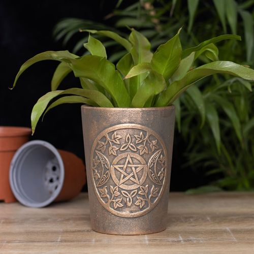 Triple Moon Bronze Terracotta Plant Pot by Lisa Parker showcasing intricate moon design and vibrant greenery.