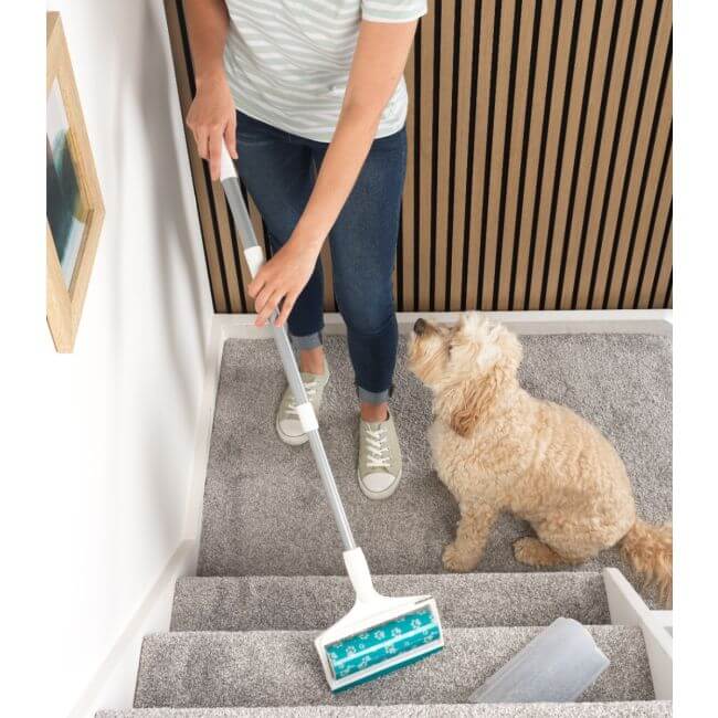 Person cleaning stairs with a broom and a dog standing nearby