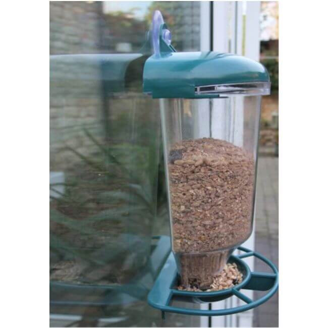 Bird feeder with seeds attached to a window