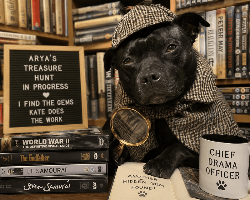 Arya's Treasure Hunting Service
