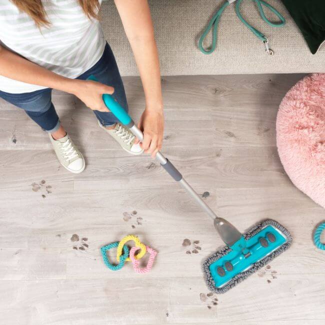 Anti Bac Pet 2 in 1 Spray Mop with Reusable Pads