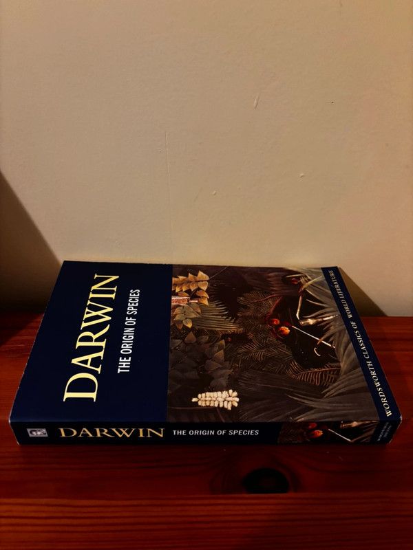 The Origin of Species (Classics of World Literature) by Darwin, a preloved paperback from Wordsworth Editions.