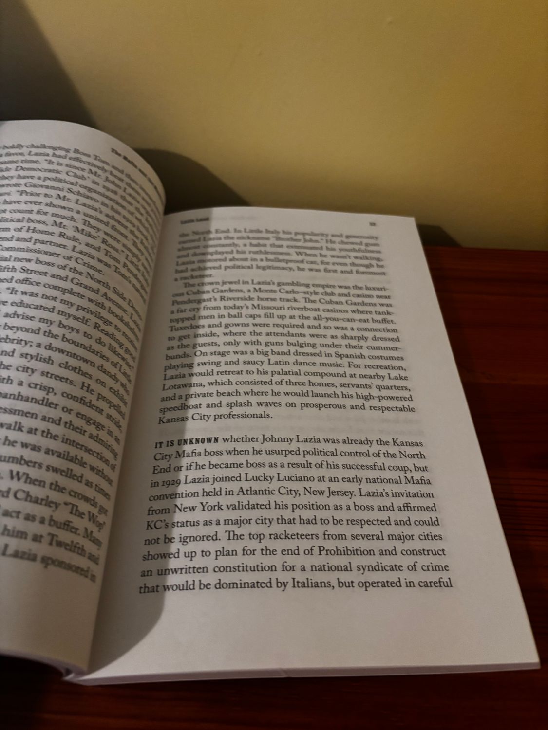 Text from "The Mafia and the Machine The Story of the Kansas City Mob" reveals the city's criminal underworld secrets.