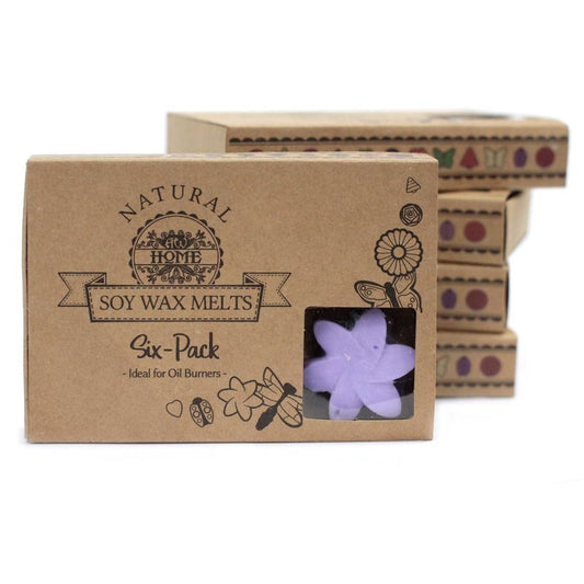 Box of 6 Wax Melts - Lavender Fields, perfect for creating a soothing, tranquil atmosphere in your home.