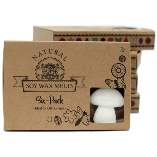 Box of 6 Wax Melts - White Musk for a warm, inviting home fragrance, perfect for creating ambience and relaxation.
