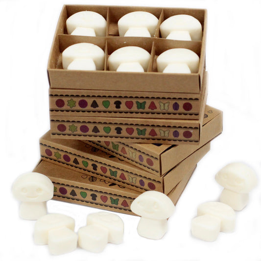 Elevate your home with the Box Of 6 Wax Melts - White Musk for a warm, inviting fragrance experience.