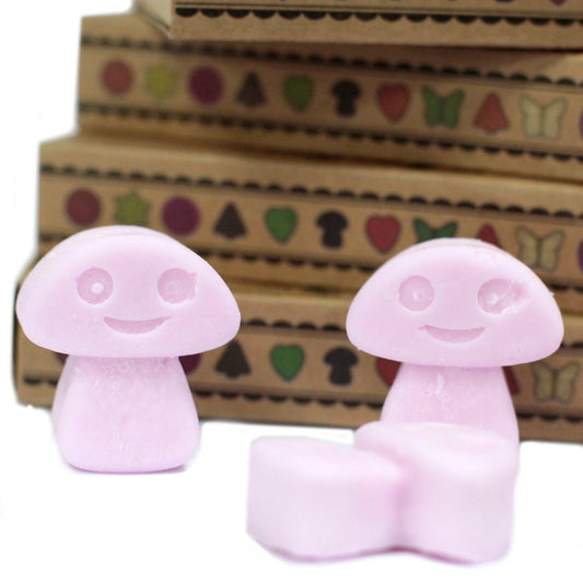 Box of 6 Wax Melts - Ylang Ylang features charming designs, perfect for enhancing your home ambiance and self-care.