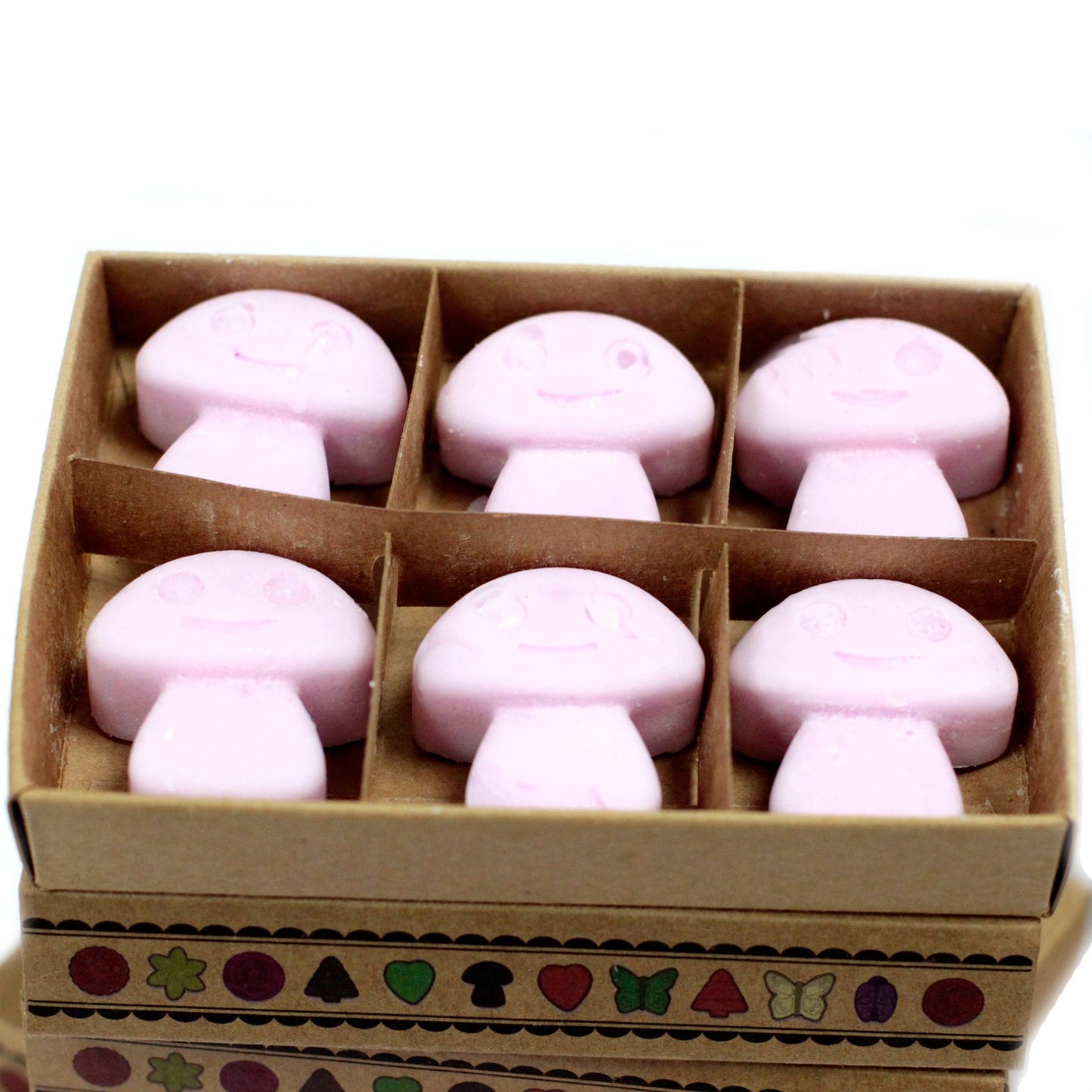 Box of 6 Wax Melts - Ylang Ylang in a charming package, perfect for enhancing your home ambiance with delightful scents.