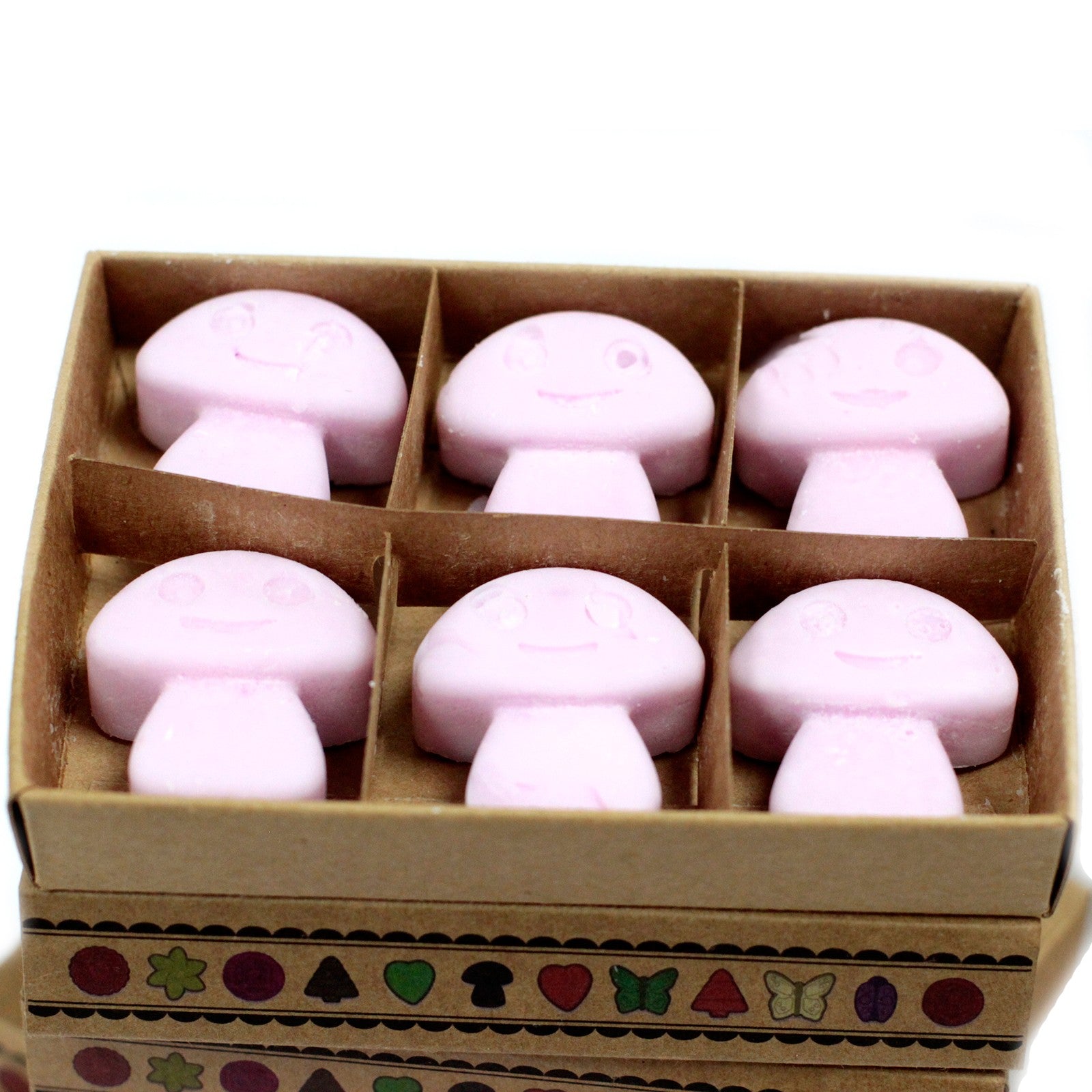 Box of 6 Wax Melts - Ylang Ylang in a charming package, perfect for enhancing your home ambiance with delightful scents.