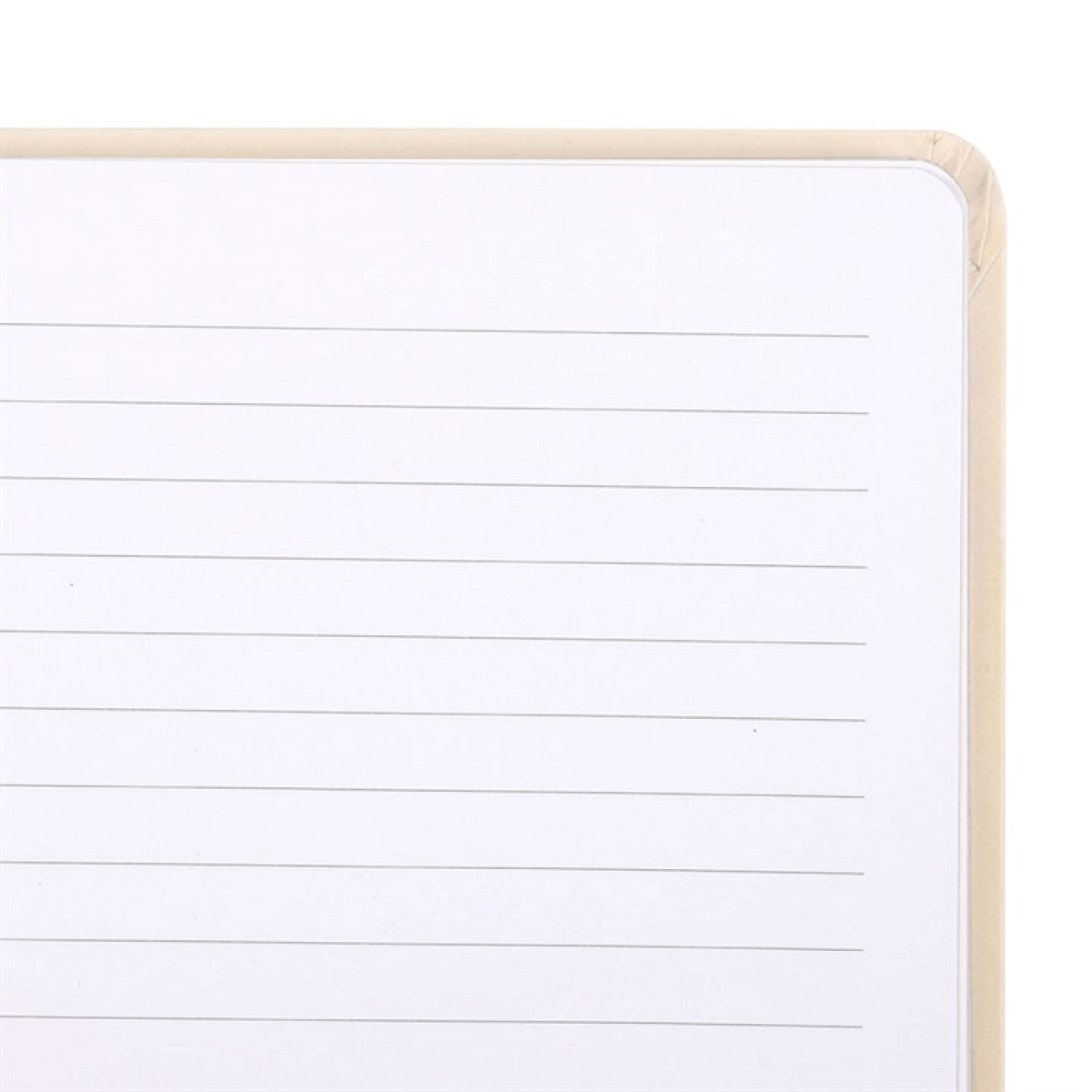 The Magic Is In You A5 Notebook for Writers Artists Dreamers with lined pages.