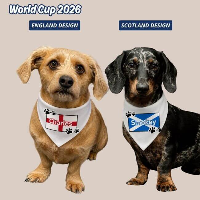 Personalised Dog Bandana with Adjustable Neck Strap