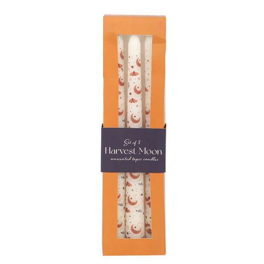 Elegant Set of 3 Harvest Moon Taper Candles - Unscented, perfect for autumn gatherings and cosy evenings.