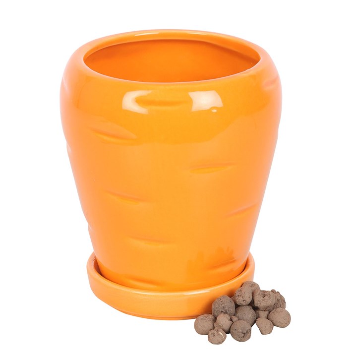 Carrot Shaped Plant Pot with Parsley Seed Balls, ideal for budding gardeners to grow fresh herbs at home.