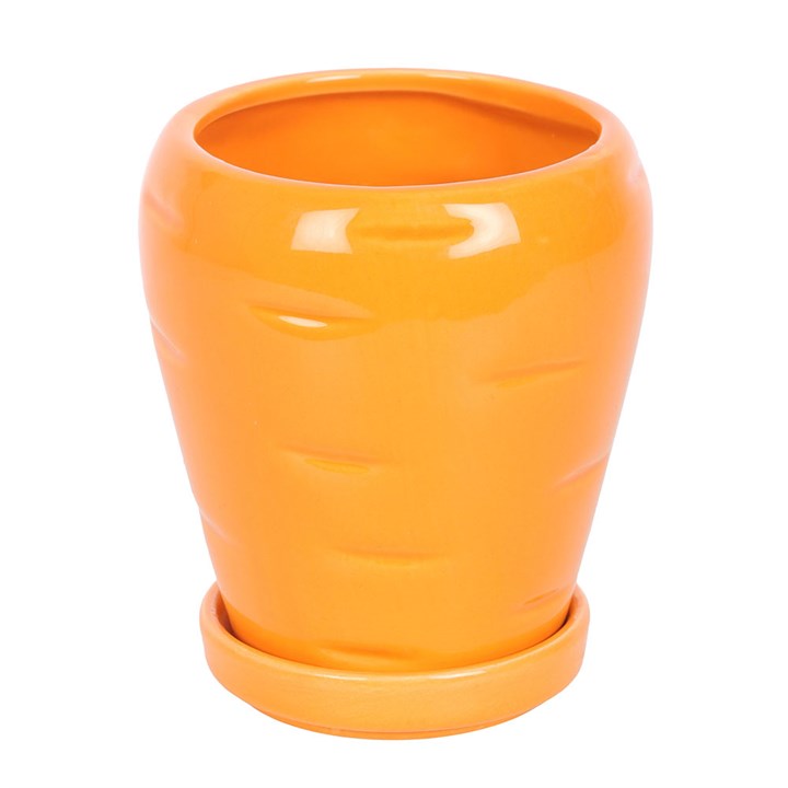 Bright orange Carrot Shaped Plant Pot with Parsley Seed Balls, perfect for budding gardeners and fresh herbs in the kitchen.