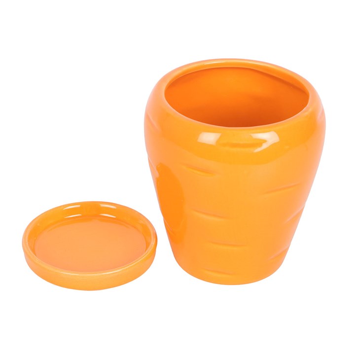 Bright orange Carrot Shaped Plant Pot with Parsley Seed Balls, perfect for budding gardeners and fresh herbs.