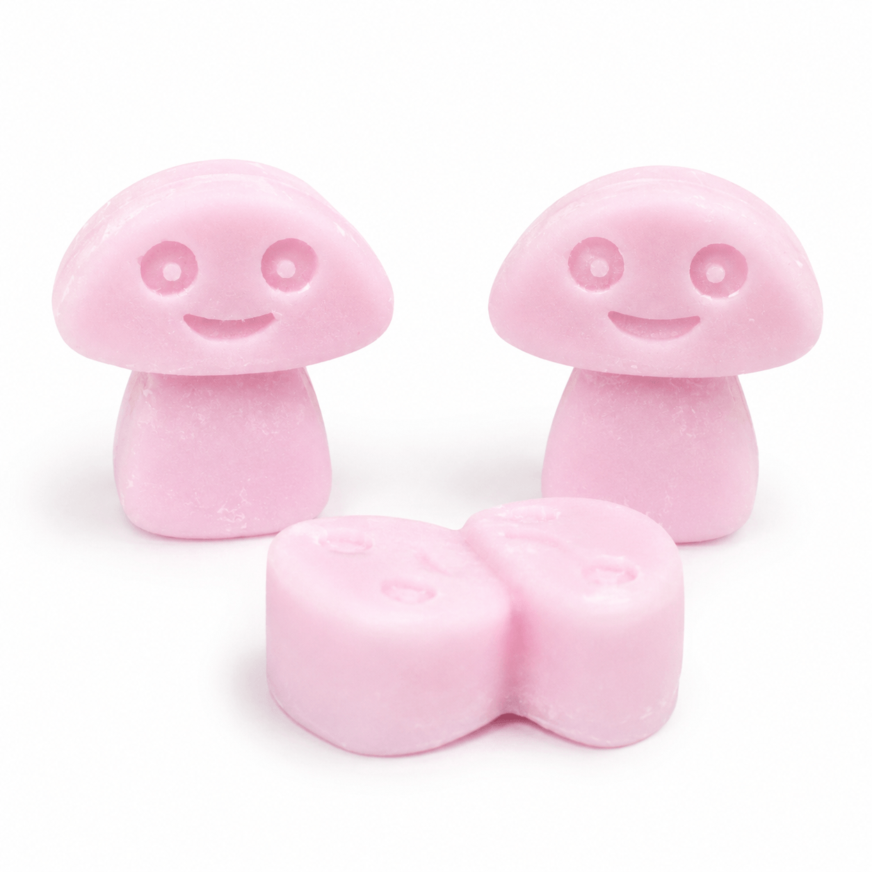 Ylang Ylang Wax Melts Box of 6
