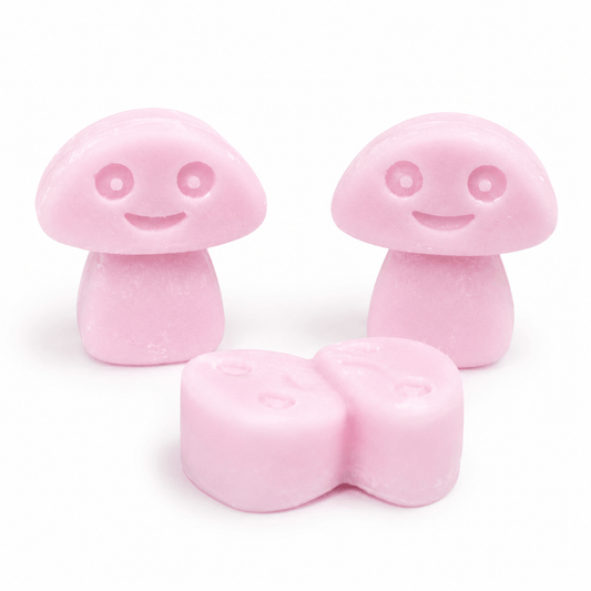 Ylang Ylang Wax Melts Box of 6